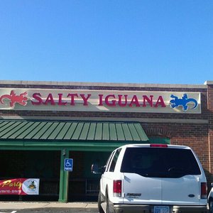 Salty Iguana